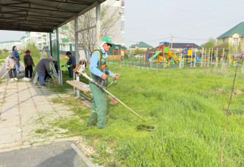 Шымкентте республикалық «Таза Қазақстан» экологиялық акциясы жалғасуда