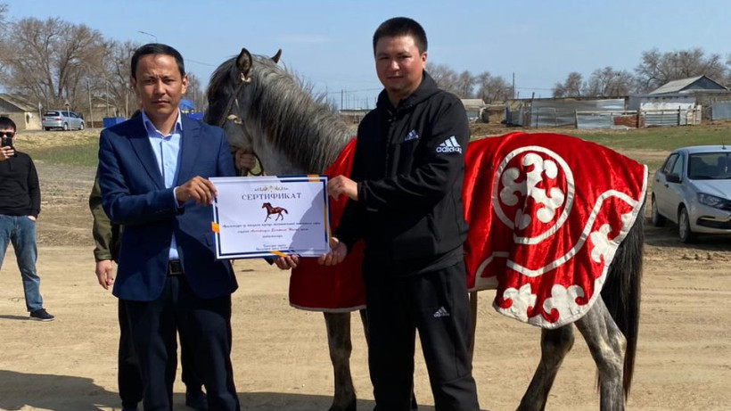  кейіпкердің жеке мұрағатынан 