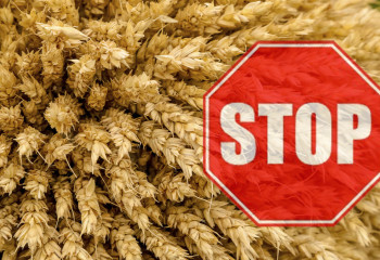 Қазақстанға бидай әкелуге тыйым салу мерзімі ұзартылды