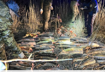 Браконьеров оштрафовали на 3,1 млн тенге в Казахстане