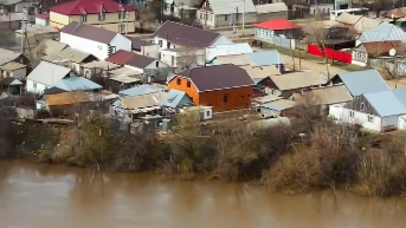  Видеодан кадр 