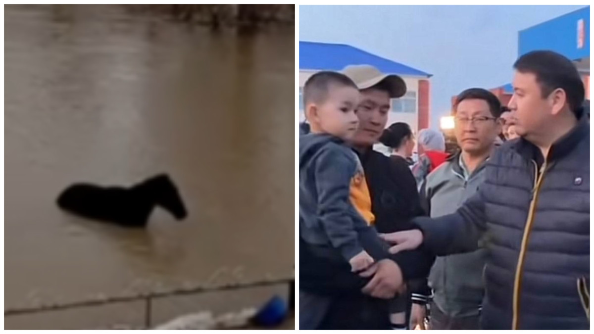  Видеодан кадр 