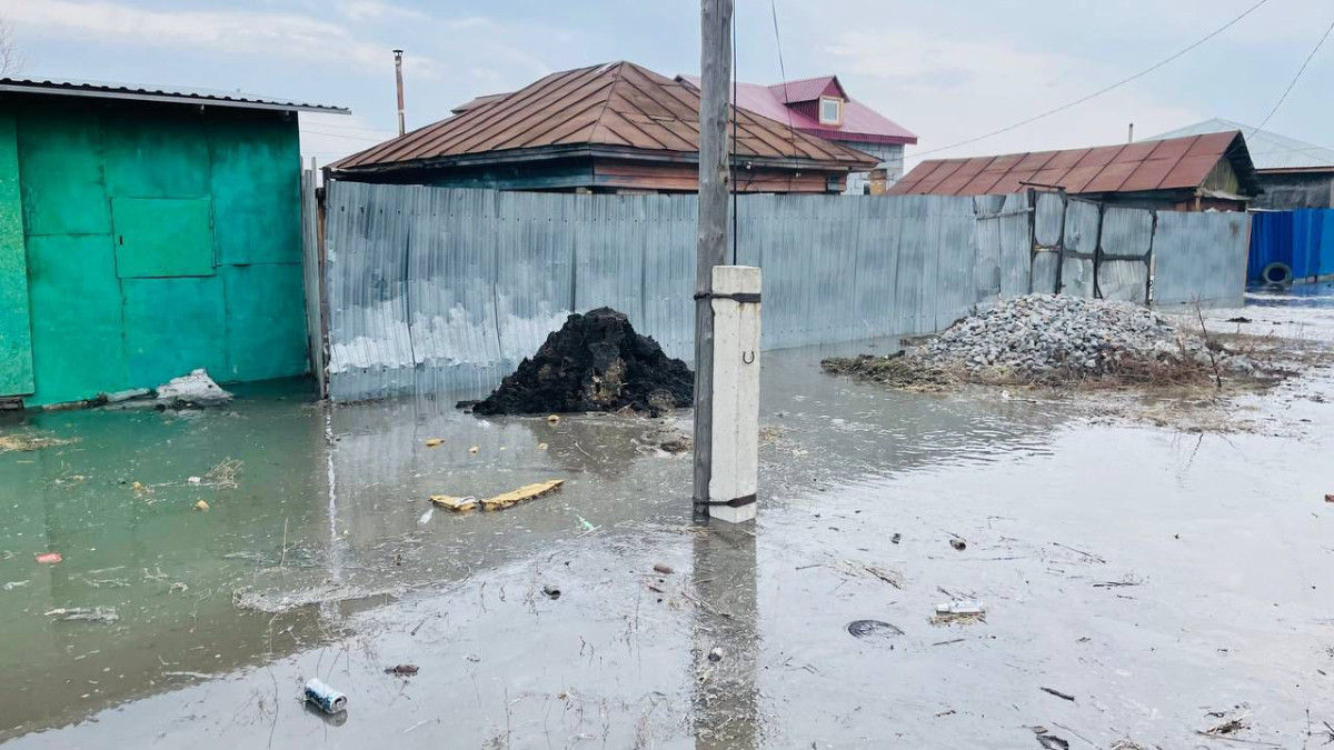  t.me/elinfo_kz/16482 