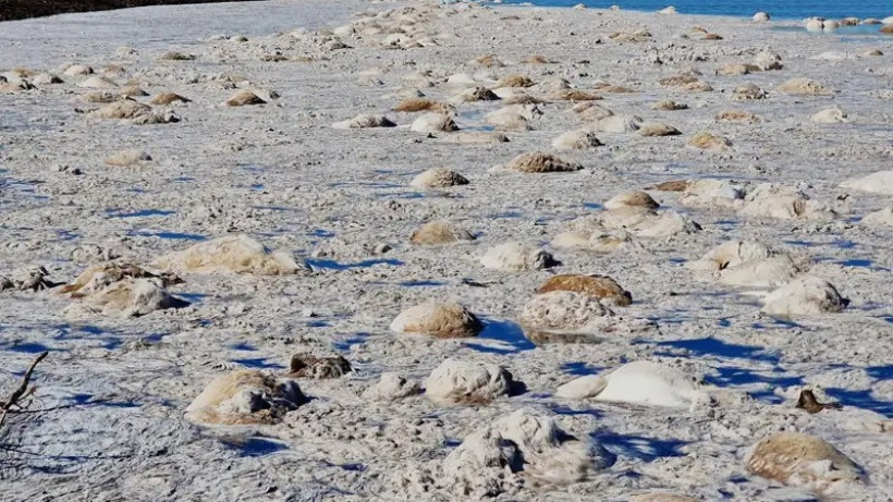  Бөкей ордасы ауданы әкімдігі 