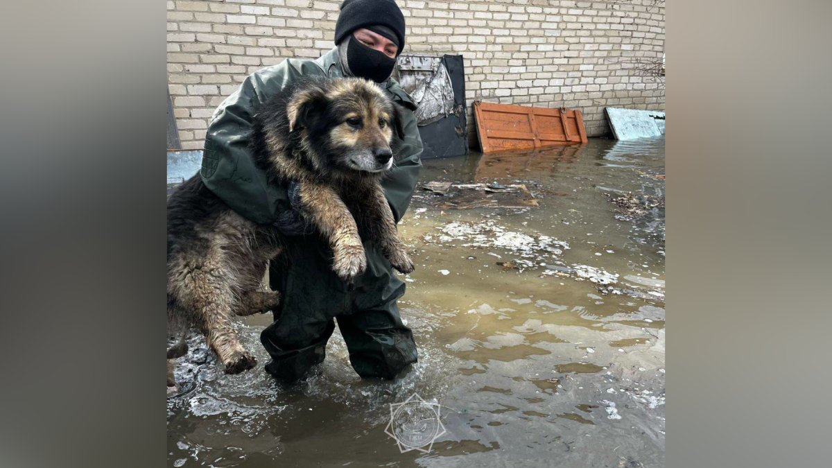  © МЧС РК 
