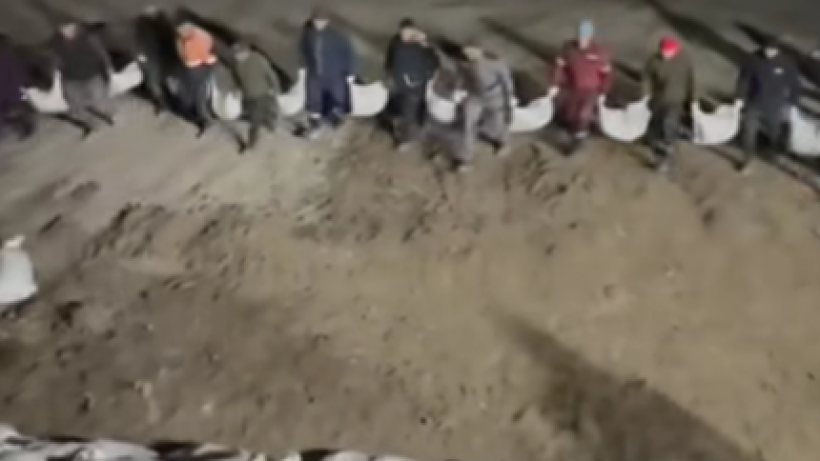  Видеодан кадр 