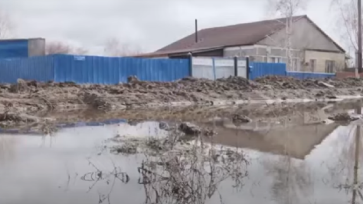 Качали воду день и ночь: жители Успенского района оценили действия властей