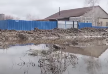 Качали воду день и ночь: жители Успенского района оценили действия властей