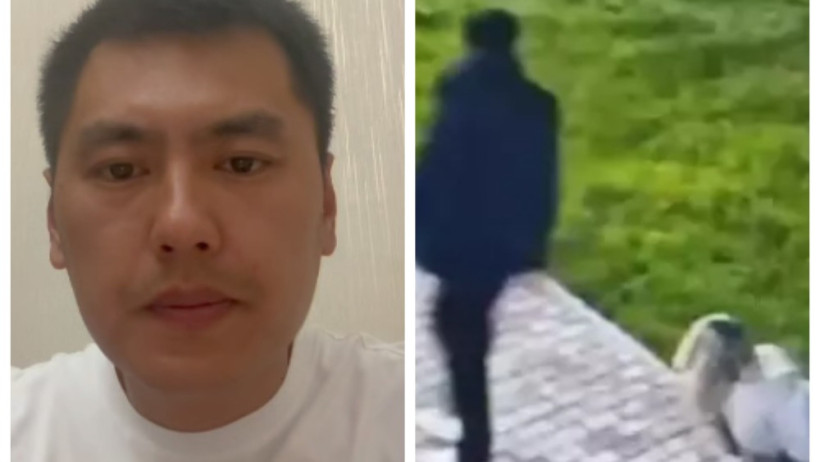  Видеодан кадр 