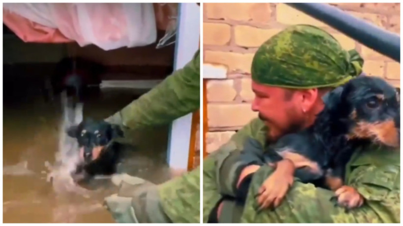  Кадры из видео 