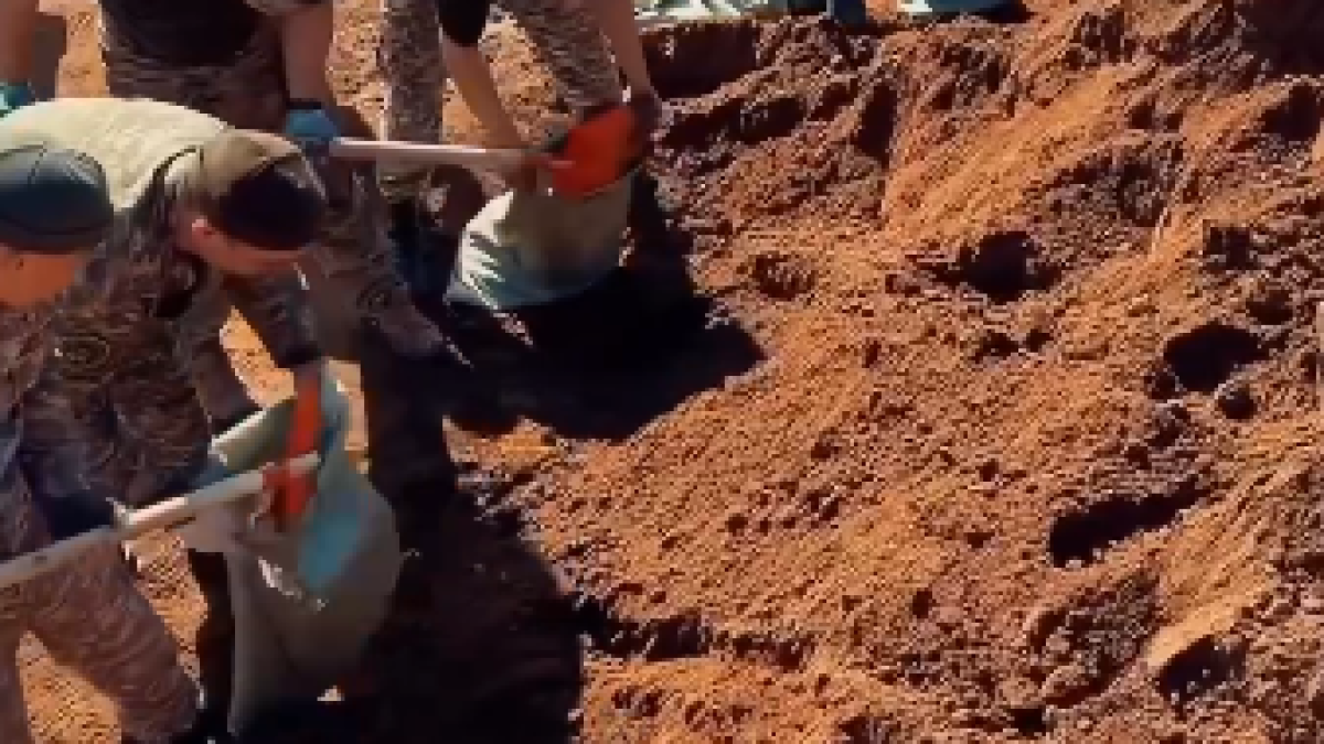  Видеодан кадр 