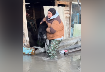 Жека Fatbelly спасал собак во время наводнения села близ Петропавловска