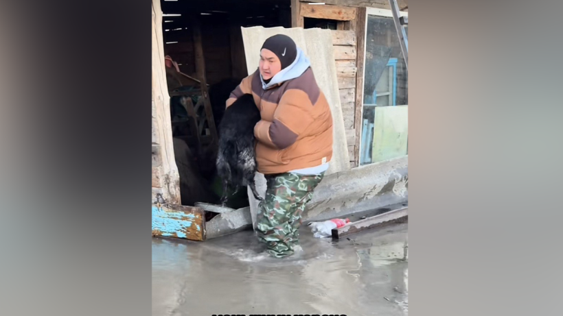  кадр из видео 