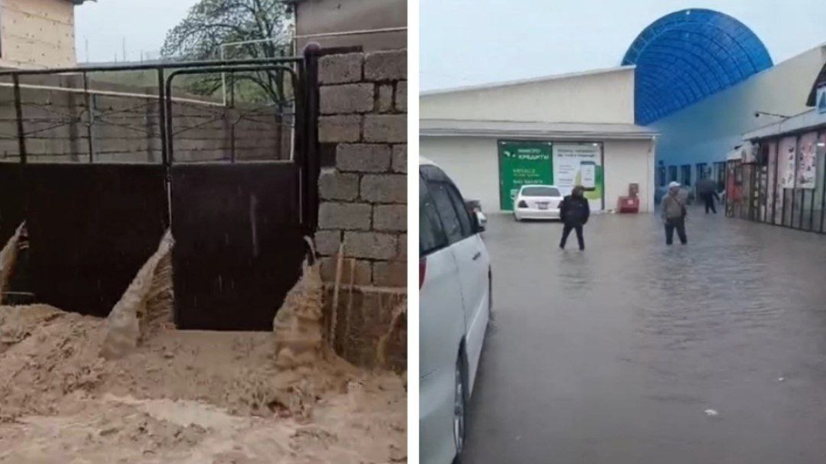  кадр из видео 