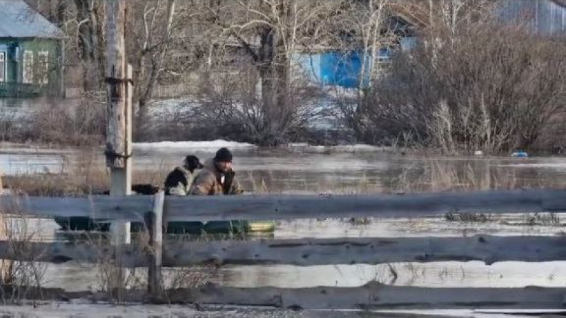  Видеодан кадр 