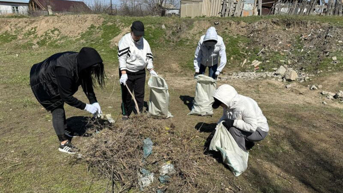 Environmental campaign carried out in Abay region