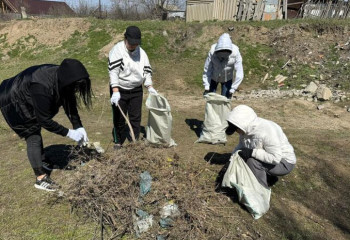 Environmental campaign carried out in Abay region