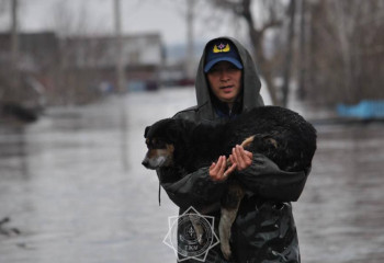 Паводки в стране: домой вернулись почти 12 тысяч казахстанцев
