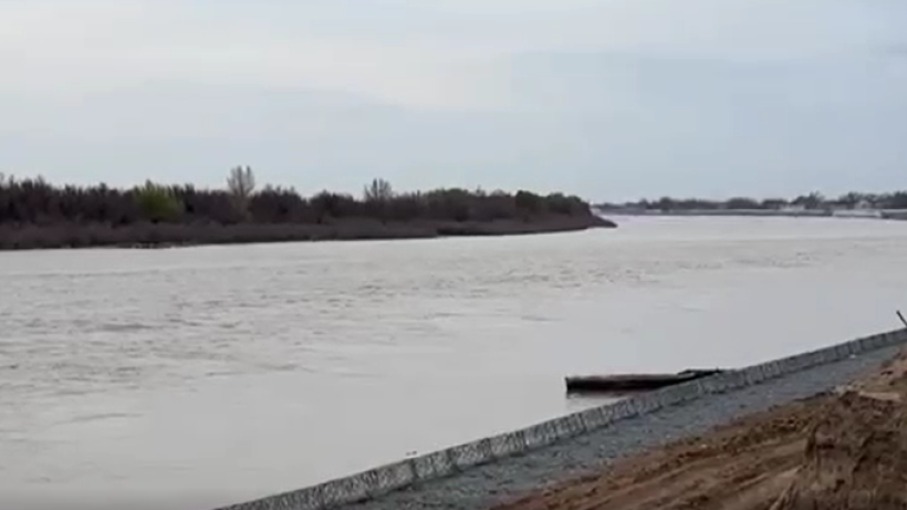  Видеодан кадр 