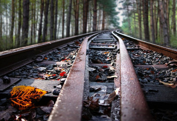 Екібастұзда жұмысшы пойыз астына түсіп көз жұмды