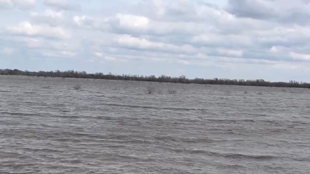 Впервые с 2000 года на реке Тобол наблюдается многоводие
