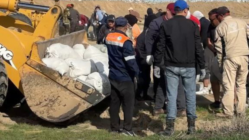  Видеодан кадр 