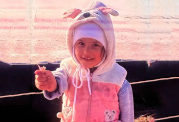 Алматы маңында жоғалған 3 жасар қыз бір айдан бері іздестіріліп жатыр