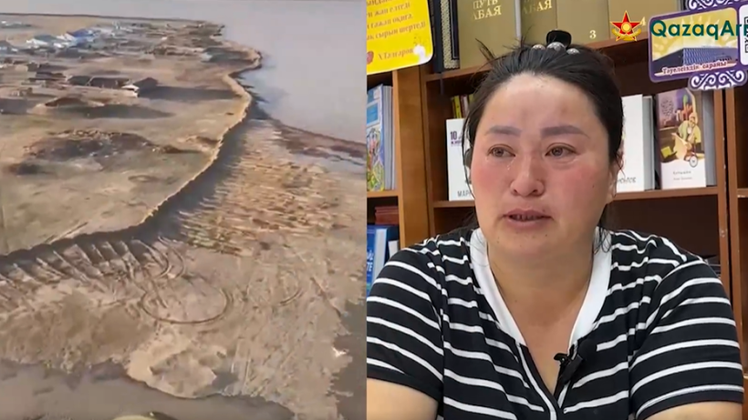  Видеодан кадр 