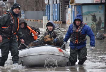 По фактам пропажи и гибели людей во время паводков в МВД возбудили уголовные дела