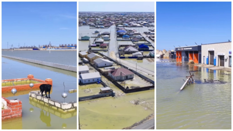  видеодан алынған кадр 