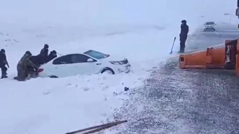  Видеодан кадр 