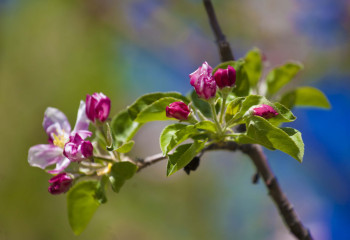 21 сәуірге арналған ауа райы болжамы