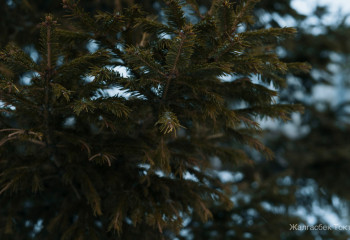 «Қазгидромет» алдағы аптаға арналған ауа райы болжамын ұсынды