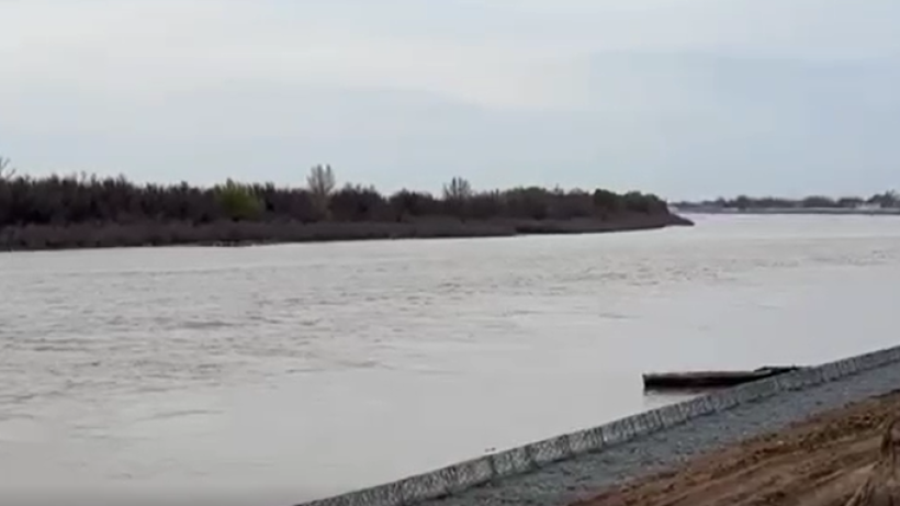  Видеодан кадр 