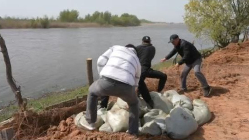  Видеодан кадр 