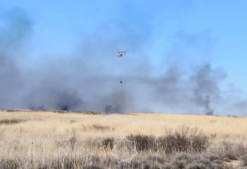 В природном резервате Алматинской области произошел пожар