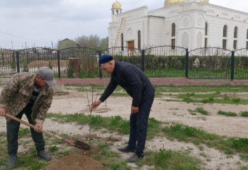 При уборке историко-культурных объектов Жамбылской области найдены петроглифы бронзового века