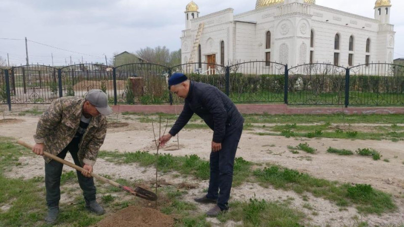  акимат Жамбылской области 
