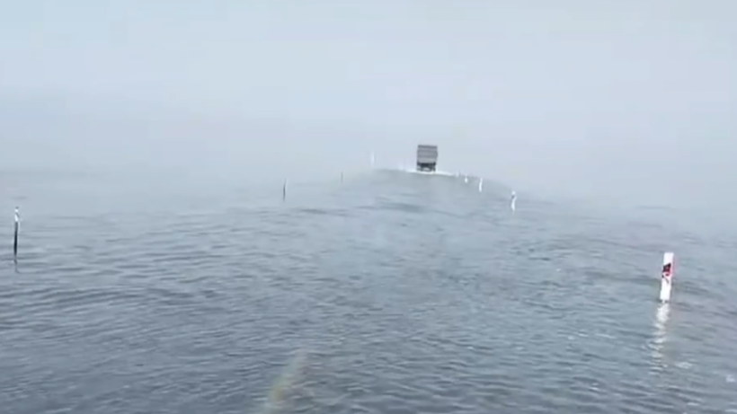  Видеодан кадр 