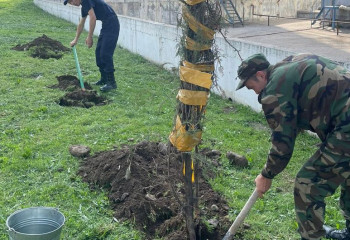 Алматыда өрт сөндіруші-құтқарушылар жұмыс аумақтарын ретке келтірді