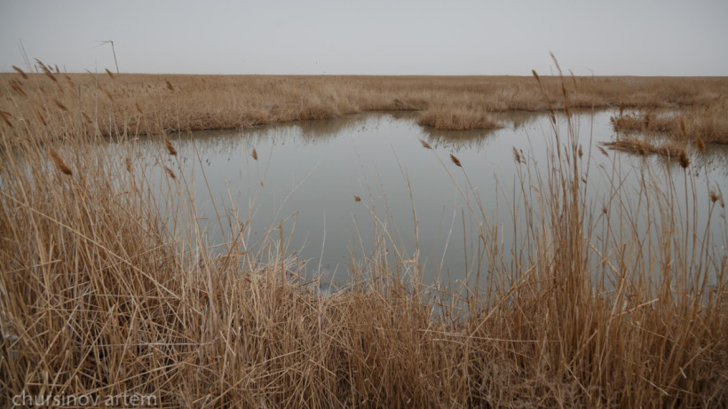  ©El.kz/Артем ЧУРСИНОВ 