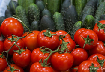 Қазақстанға жеткізілген қызанақтан  вирус табылды