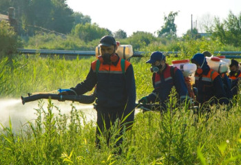 Елордада масалар мен шыбын-шіркейге қарсы күрес басталды
