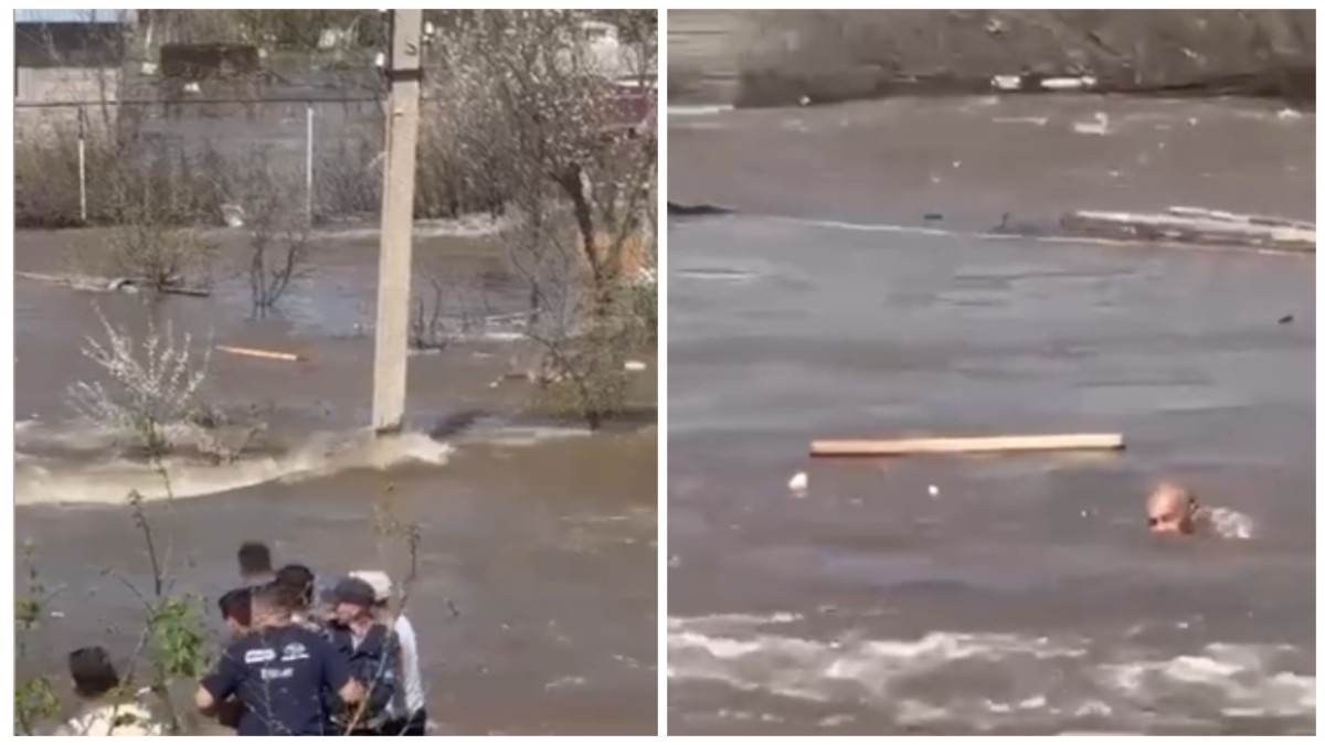  Видеодан кадр 