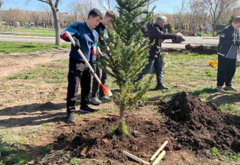 Қарағанды облысында барлығы 90 мың көшет отырғызылмақ