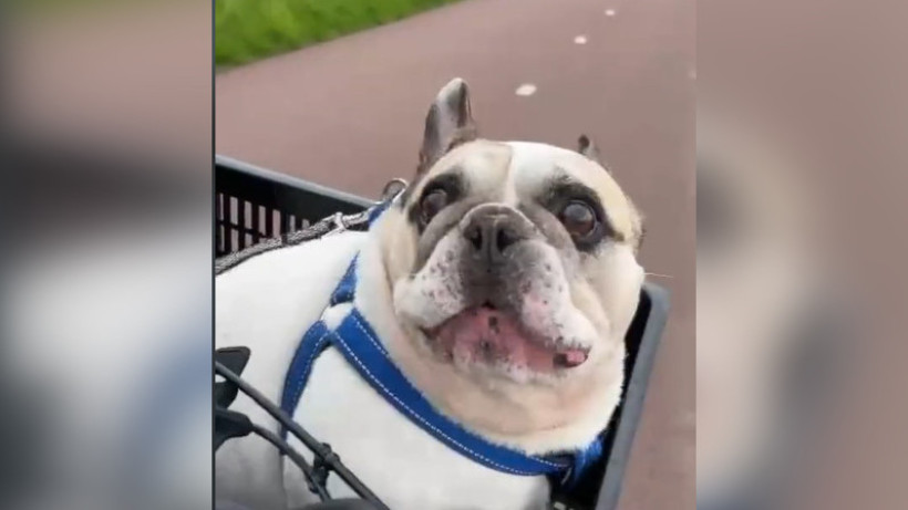  Кадр из видео 