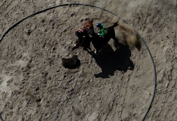 Профессионалы кокпара встретились на чемпионате страны в Кызылорде