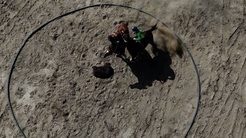  организаторов 