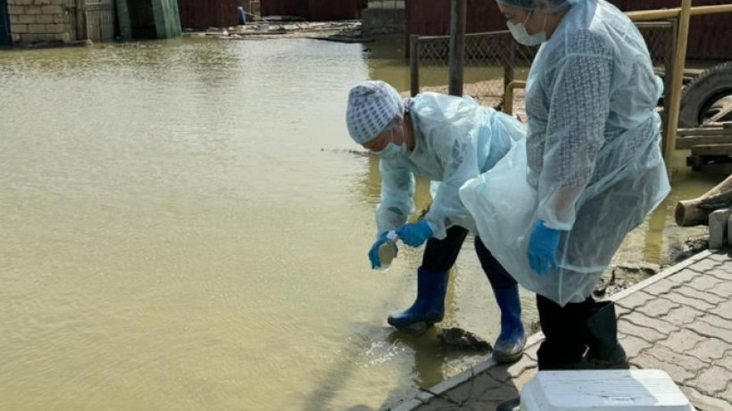  instagram.com/ncph_kz 