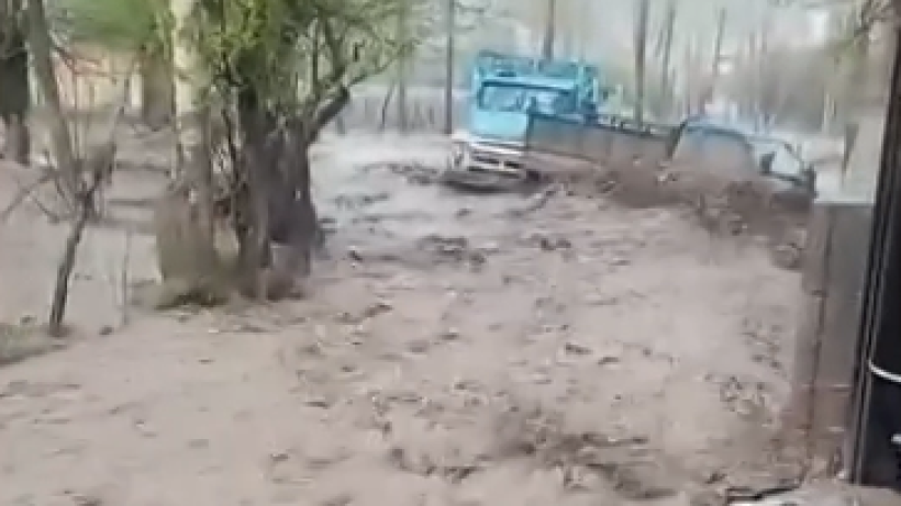  Видеодан кадр 